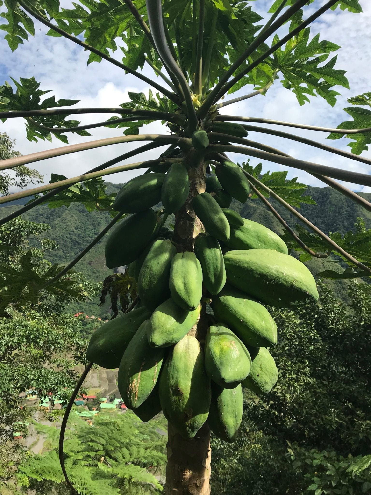 Gdzie szukamy inspiracji?