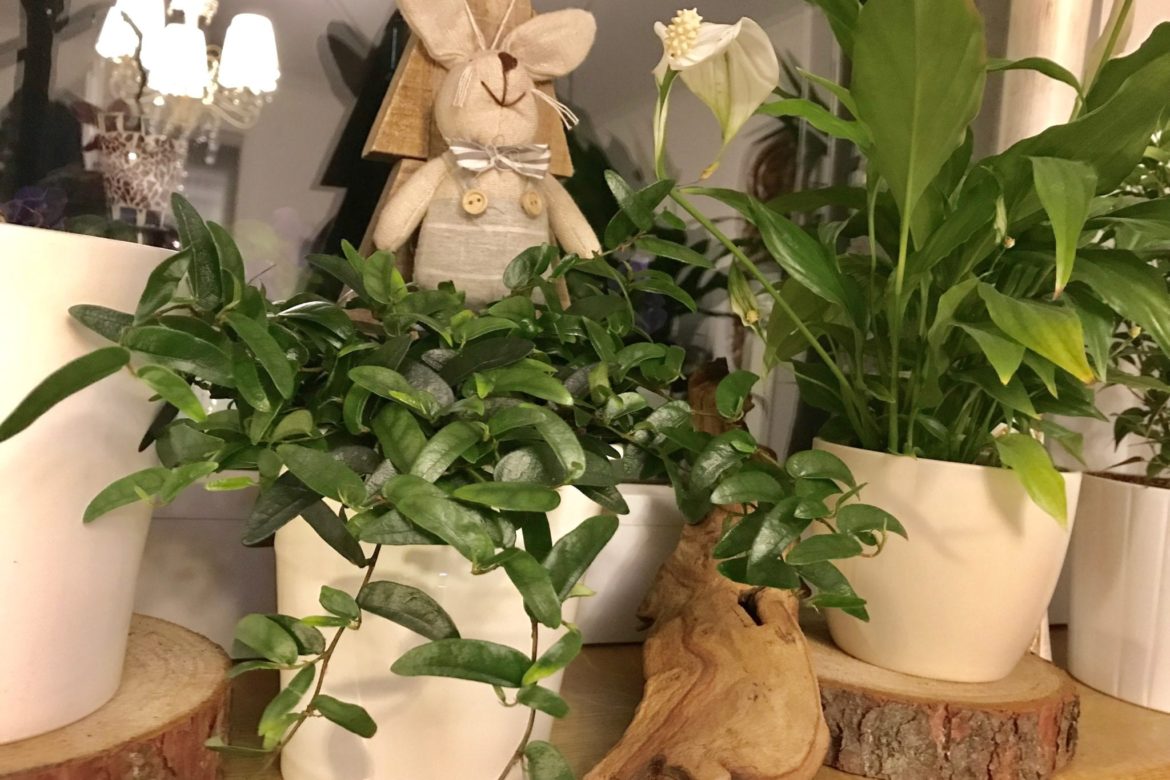 Każdy ma swój własny kąt